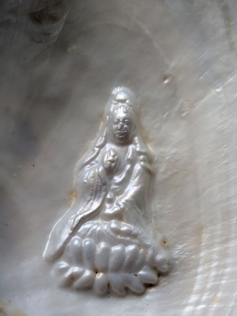 仏像真珠／淡水パール母貝 no.112