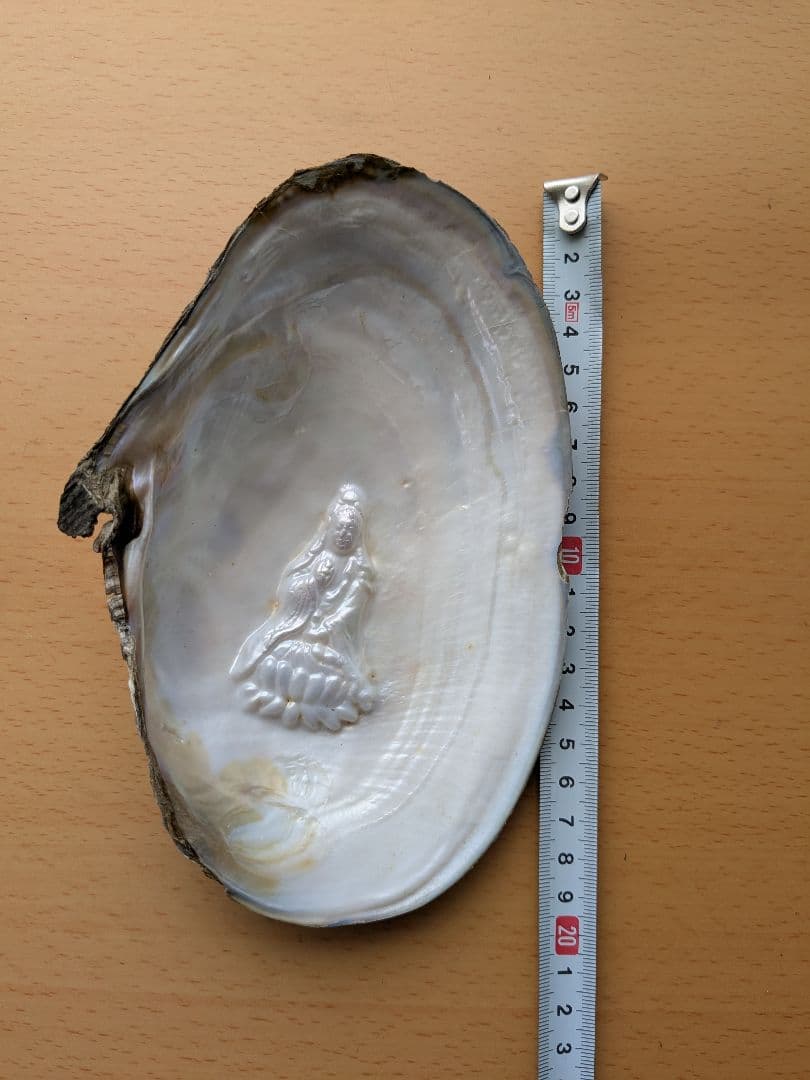 仏像真珠／淡水パール母貝 no.112