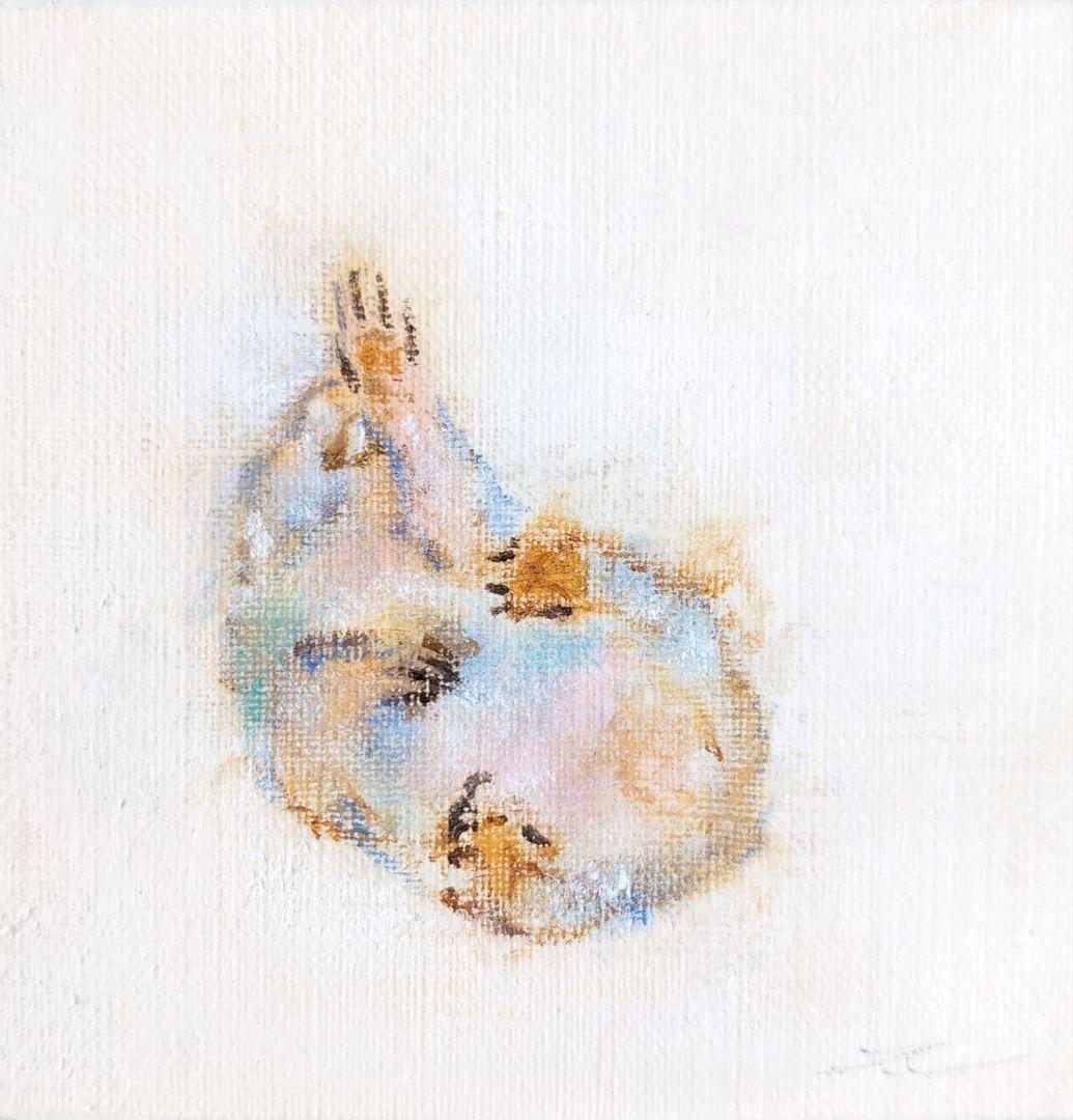 いろどりウォンバット『あちゃー』 油彩画 フレーム付き