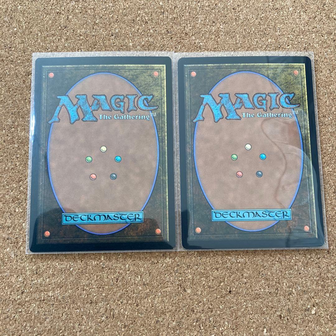 MTG風変わりな果樹園/Exotic Orchard 日本語版2枚セット友なる石