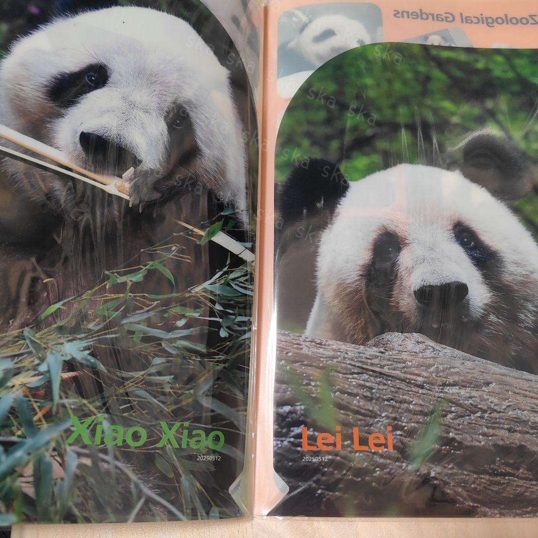 ダブルポケット 恩賜上野動物公園◇シャオシャオ レイレイ◇クリア