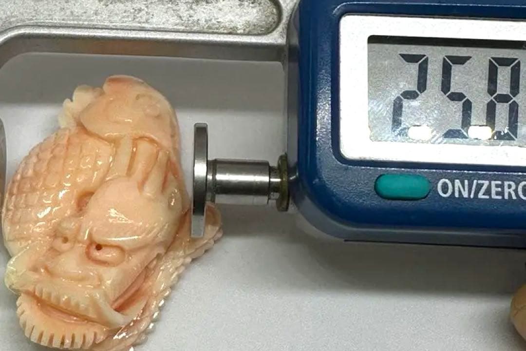 天然珊瑚彫刻　龍の顔アート作品　17.1g