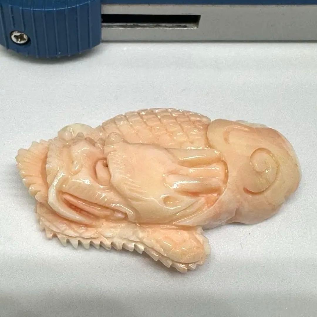 天然珊瑚彫刻　龍の顔アート作品　17.1g