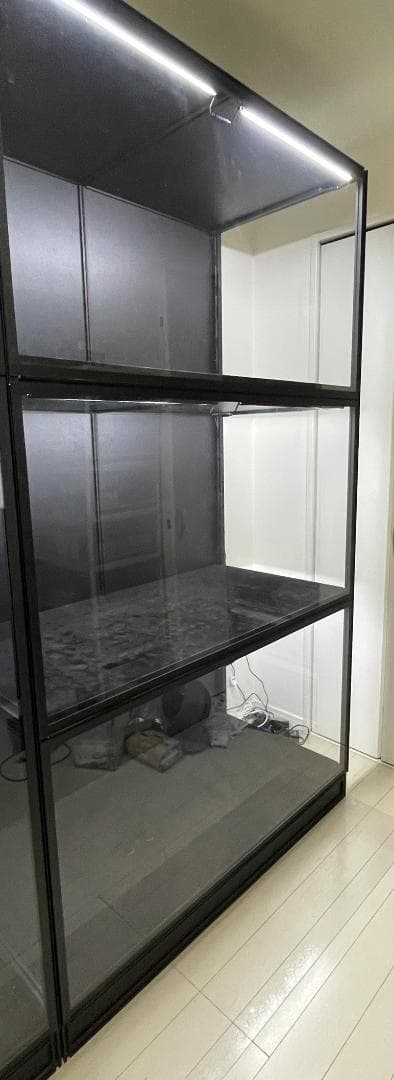 moducase DF120 1台 ライザー ＆ フィギュア スタンド付き