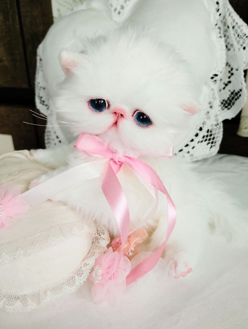 短足ころりんボディ♡うるるんオメメの子猫ちゃん♡アートドール♡ぬいぐるみ♡