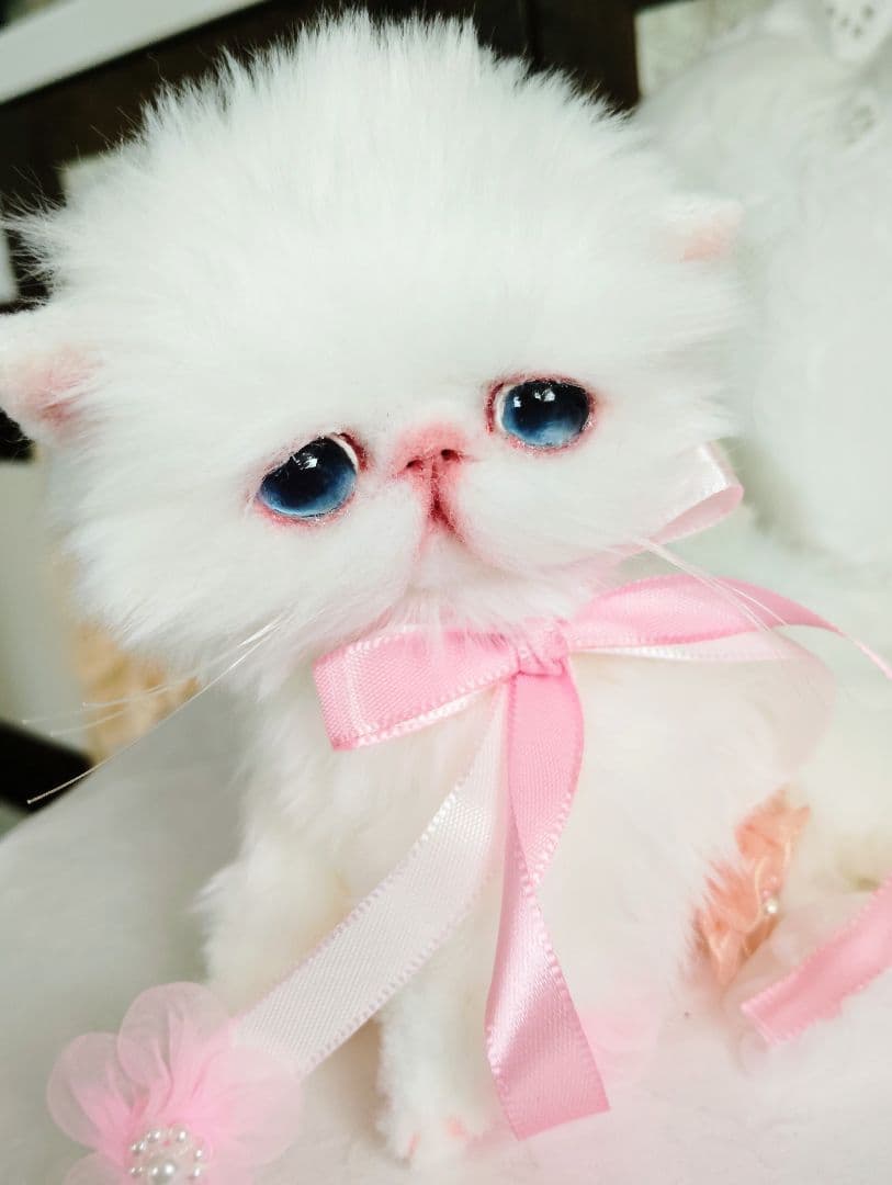 短足ころりんボディ♡うるるんオメメの子猫ちゃん♡アートドール♡ぬいぐるみ♡