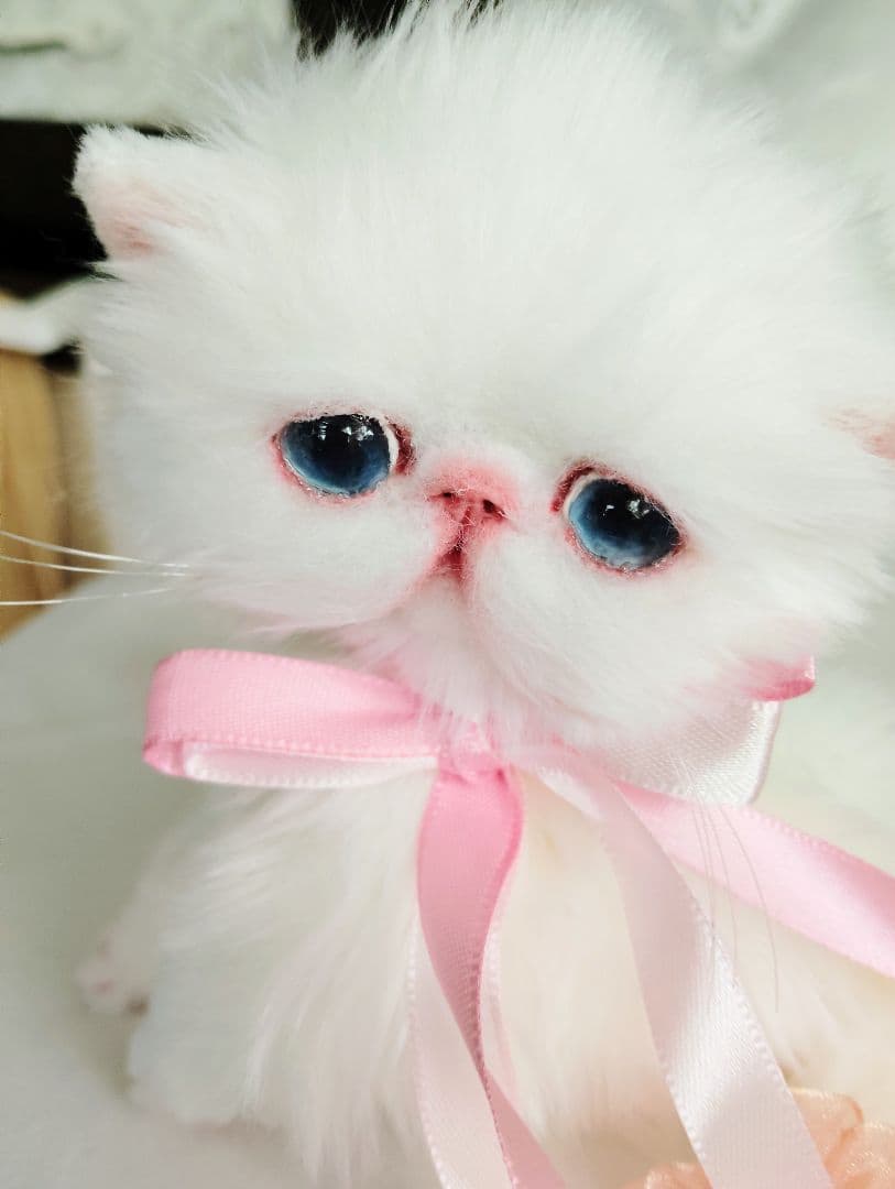 短足ころりんボディ♡うるるんオメメの子猫ちゃん♡アートドール♡ぬいぐるみ♡