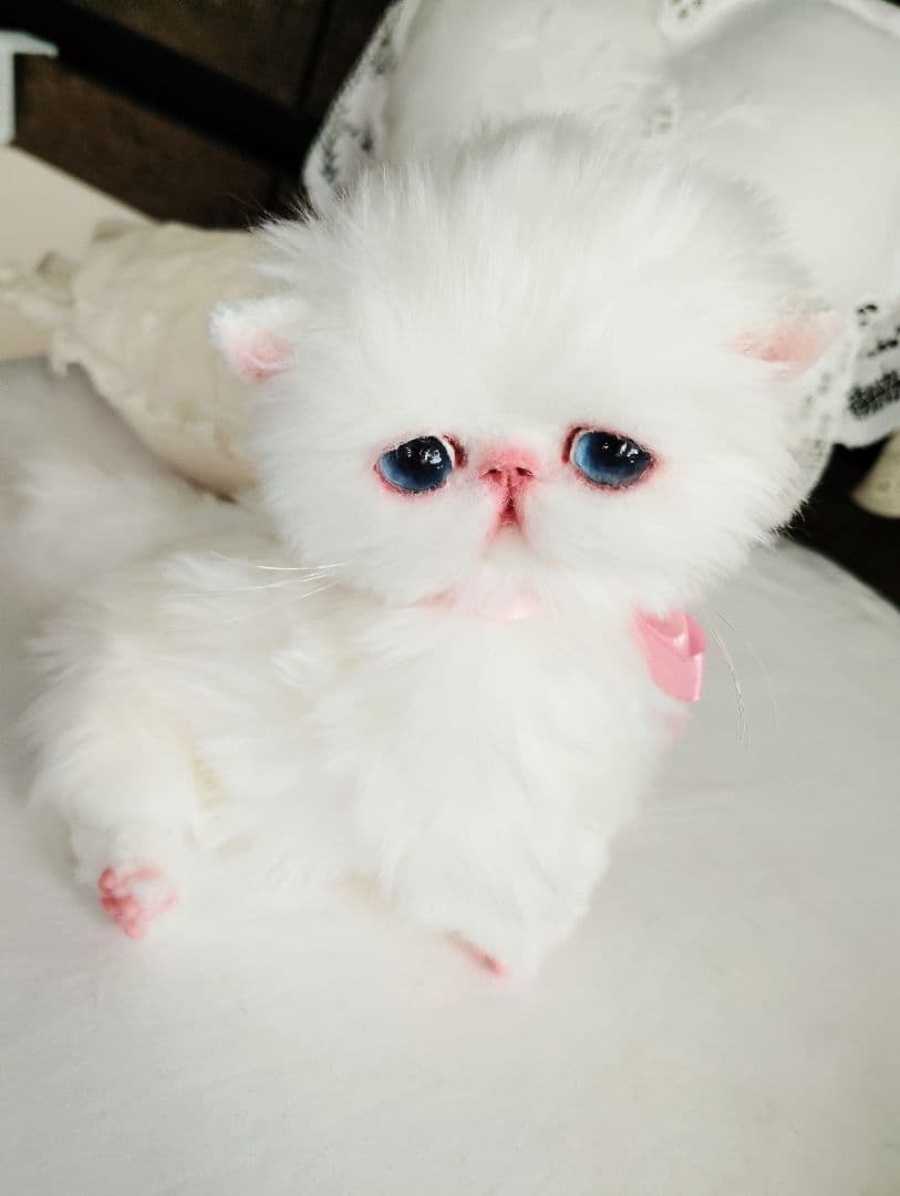 短足ころりんボディ♡うるるんオメメの子猫ちゃん♡アートドール♡ぬいぐるみ♡