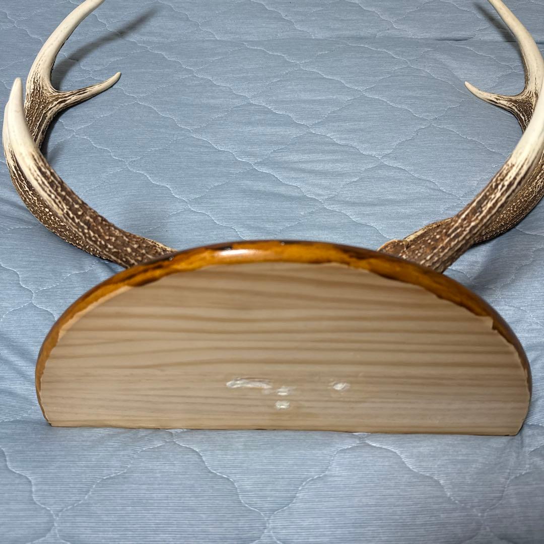 鹿の角 インテリアオブジェ 約70cm