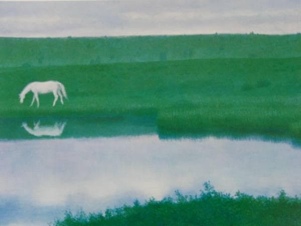 東山魁夷、白夜光、高級額装画、サイン入り、大判、新品額付 - メルカリ