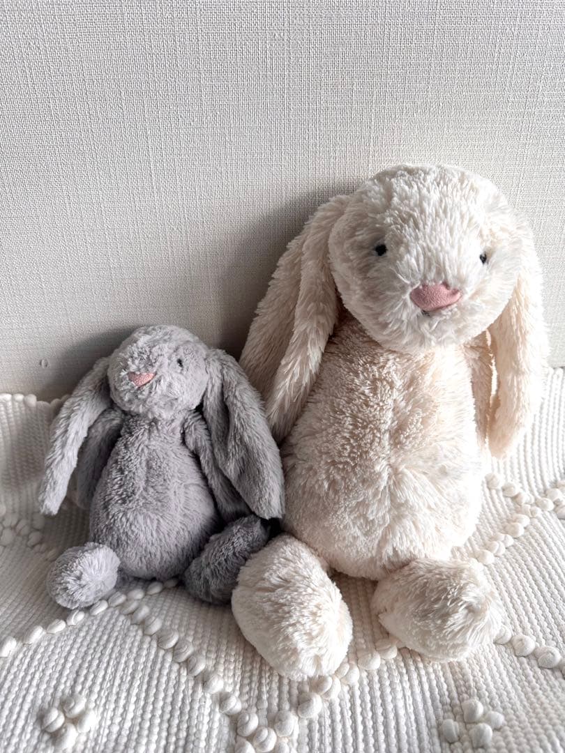 【ジェリーキャット】　 cream〔M size〕うさぎ