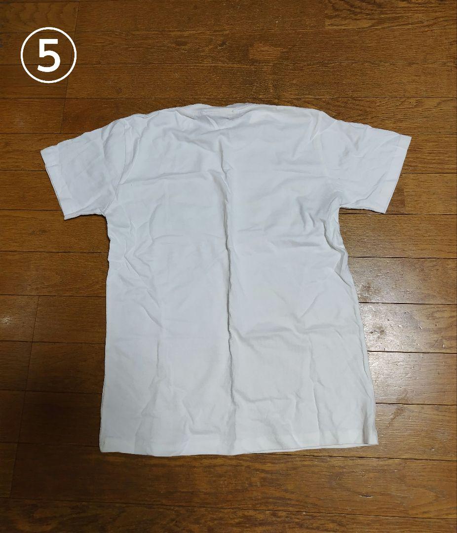 レミオロメン　まとめ売り　パンフレット　DVD CD ライブグッズ