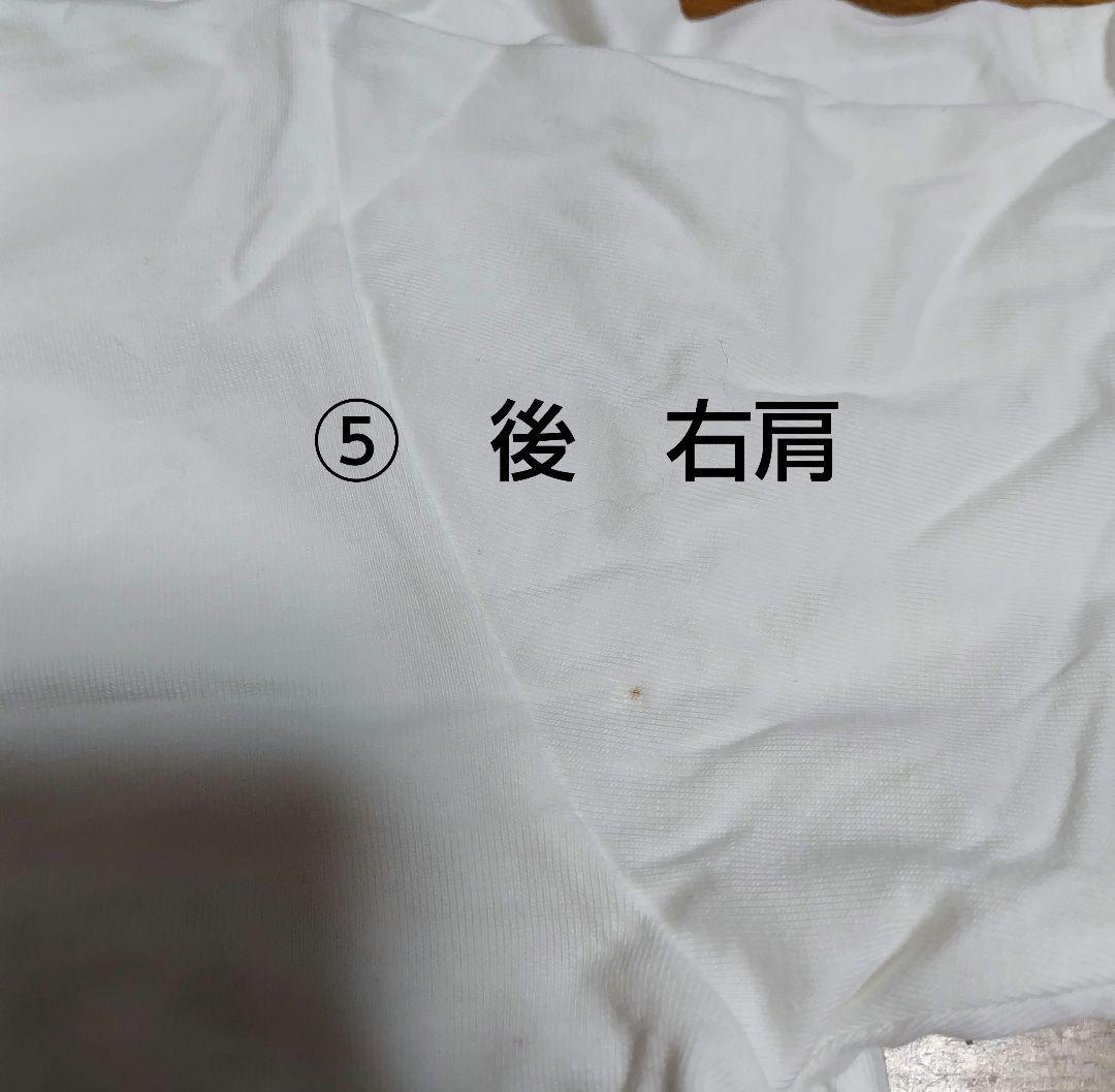 レミオロメン　まとめ売り　パンフレット　DVD CD ライブグッズ