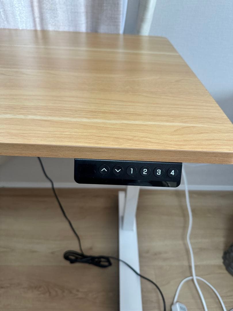 Flexispot E9 昇降式デスク