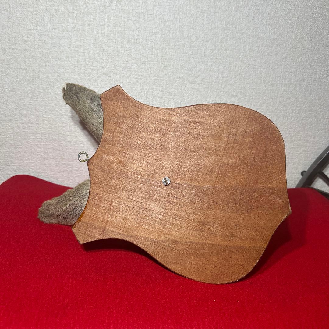 ナ*オ様 カンガルー　剥製　ハンティングトロフィー型　頭部　インテリア　オブジェ