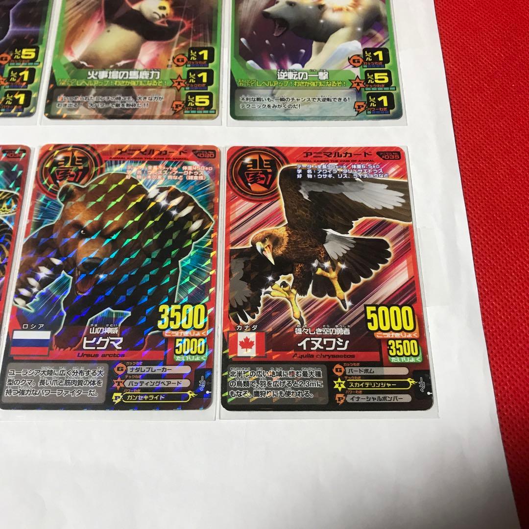 年末最終セール アニマルカイザー6枚のセット - メルカリ