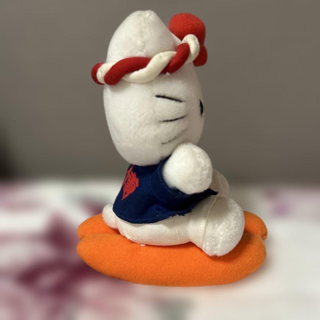 激レア☆ハローキティ ご当地 福岡限定 博多 辛子明太子 ぬいぐるみ 2002年