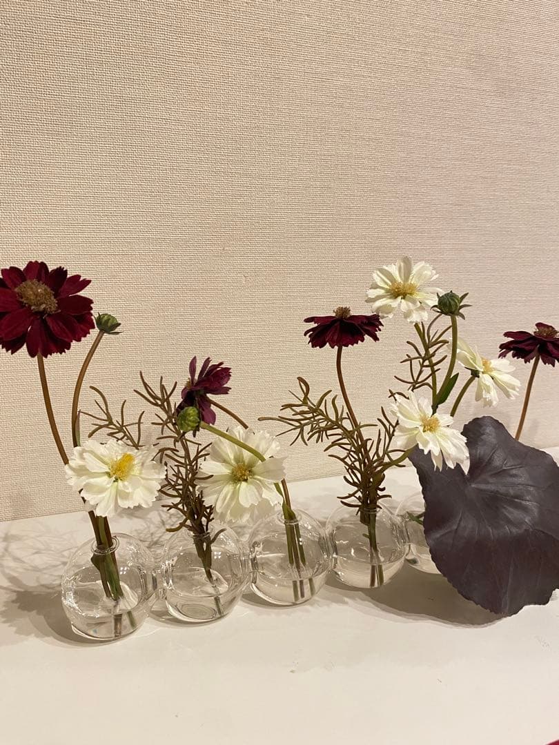 エミリオ・ロパ EMILIO ROBBA コスモスのフラワーアレンジメント