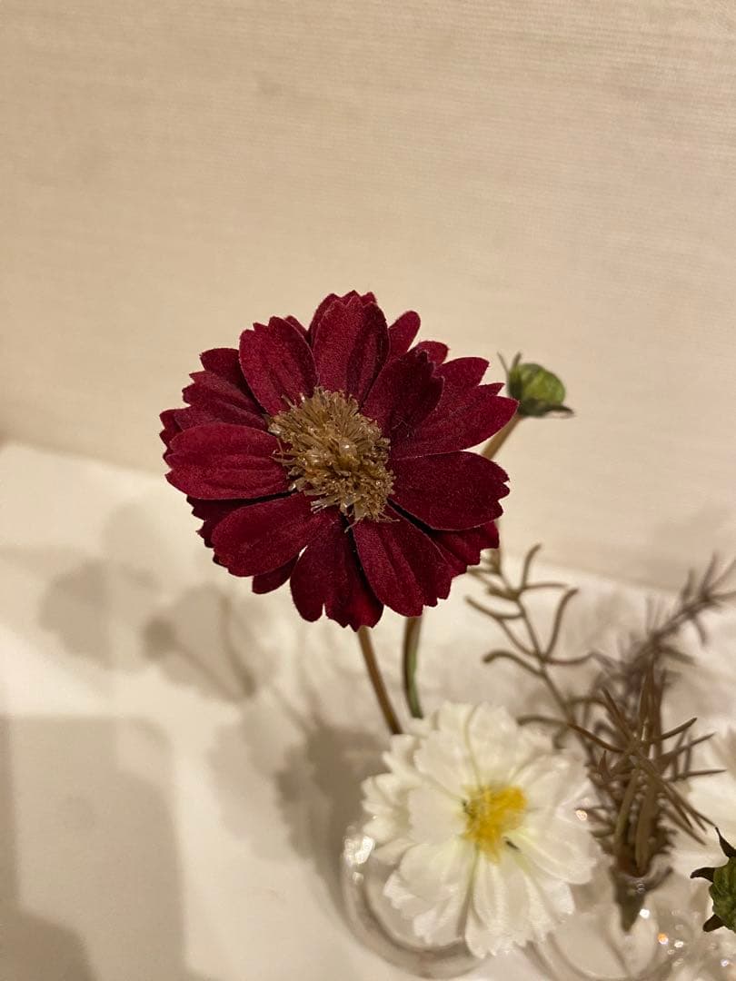 エミリオ・ロパ EMILIO ROBBA コスモスのフラワーアレンジメント