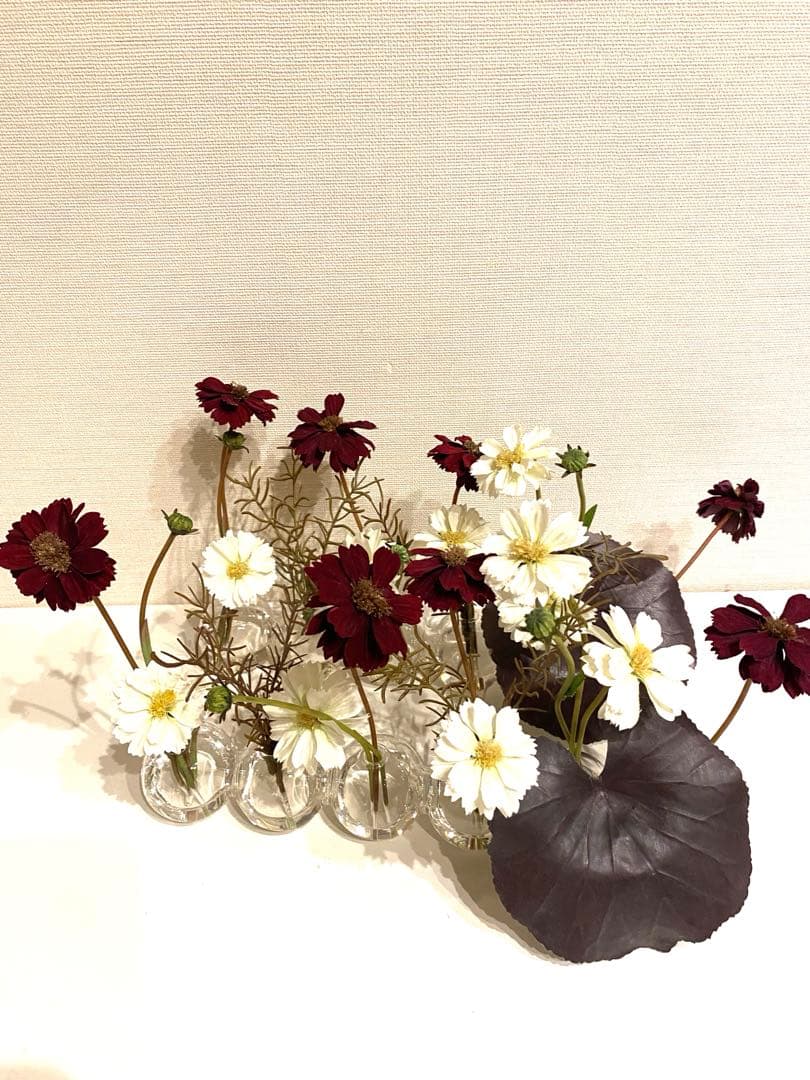 エミリオ・ロパ EMILIO ROBBA コスモスのフラワーアレンジメント