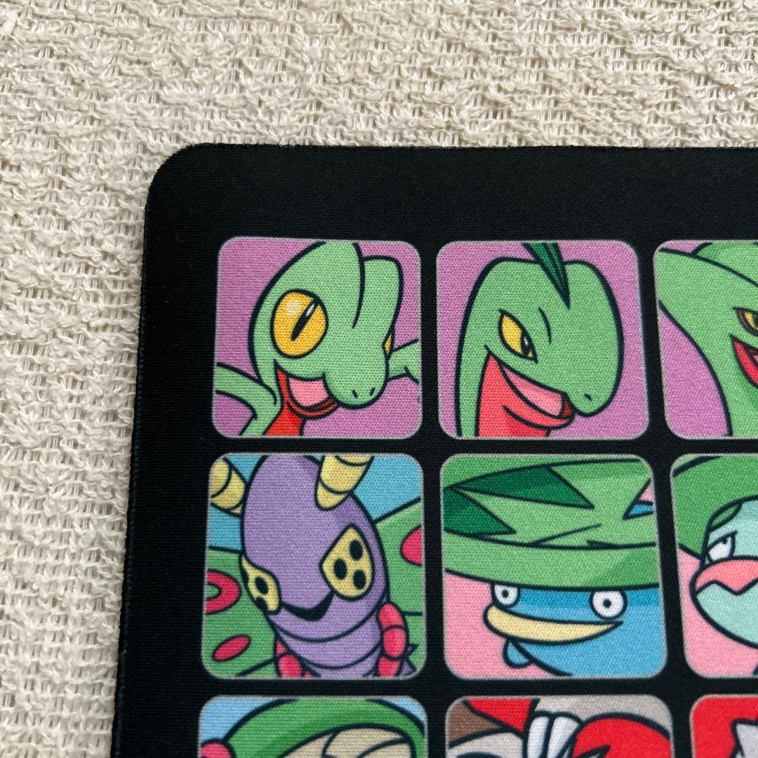 ポケモンカードゲーム プロフェッサープログラム 第3世代 ホウエン