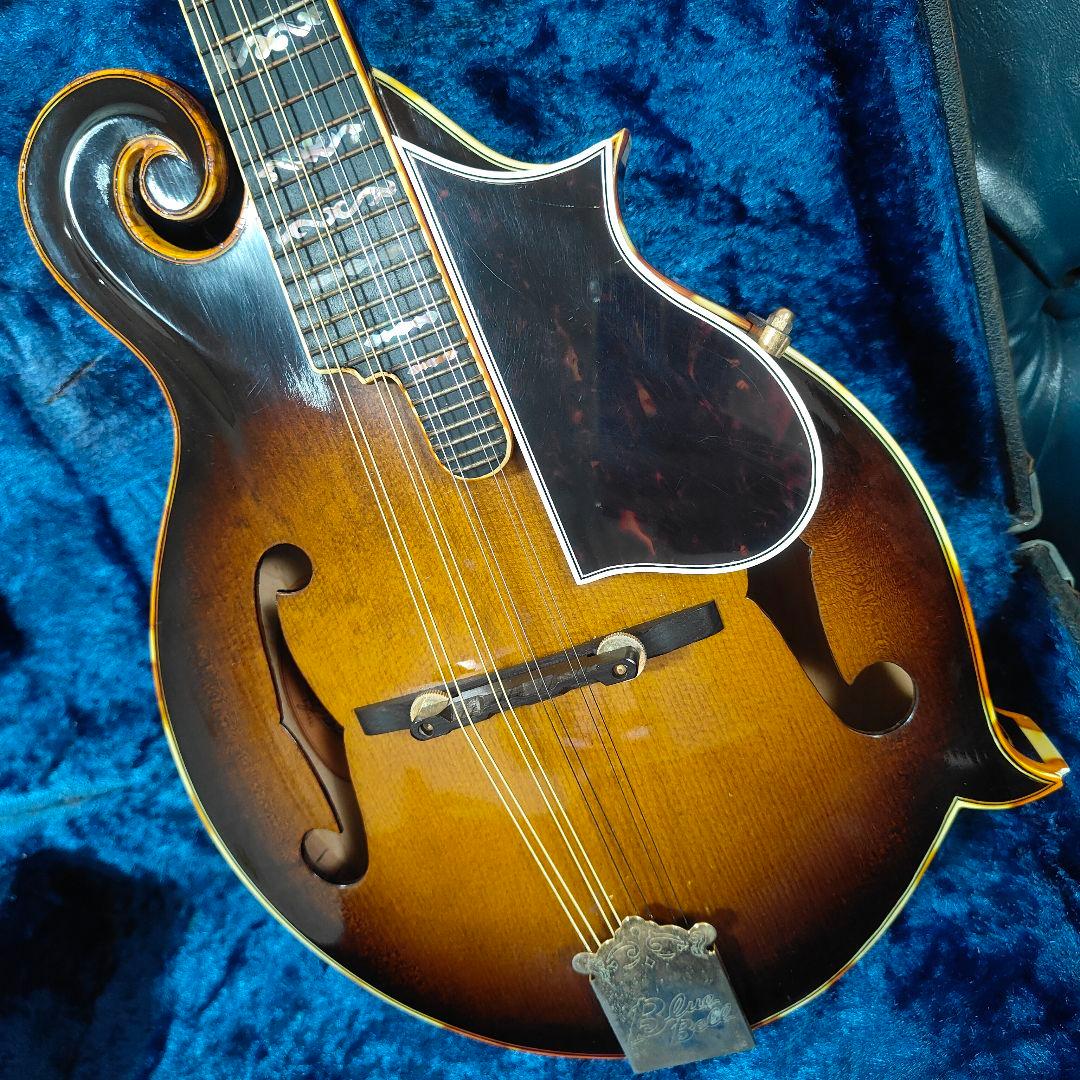 BLUE BELL F-10 マンドリン ブルーベル - メルカリ