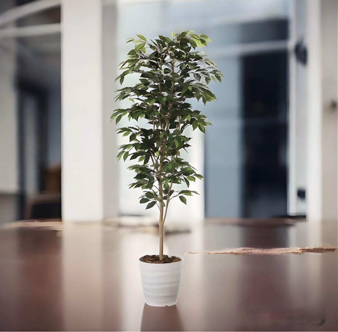 光触媒　人工観葉植物　フェイクグリーベンジャミン 高さ 1.8m