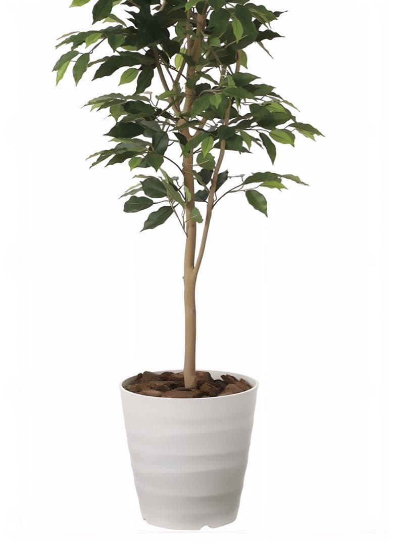 光触媒　人工観葉植物　フェイクグリーベンジャミン 高さ 1.8m