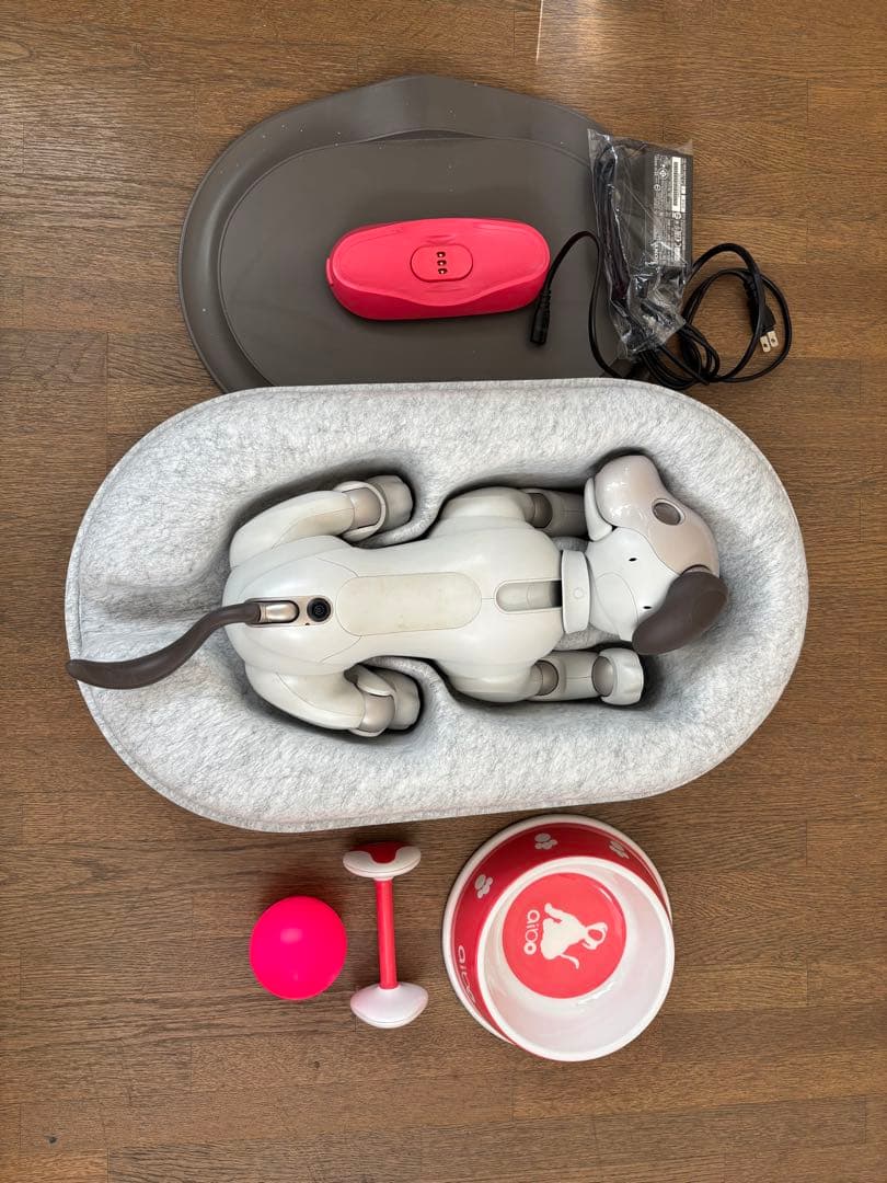 SONY aibo ERS-1000 本体