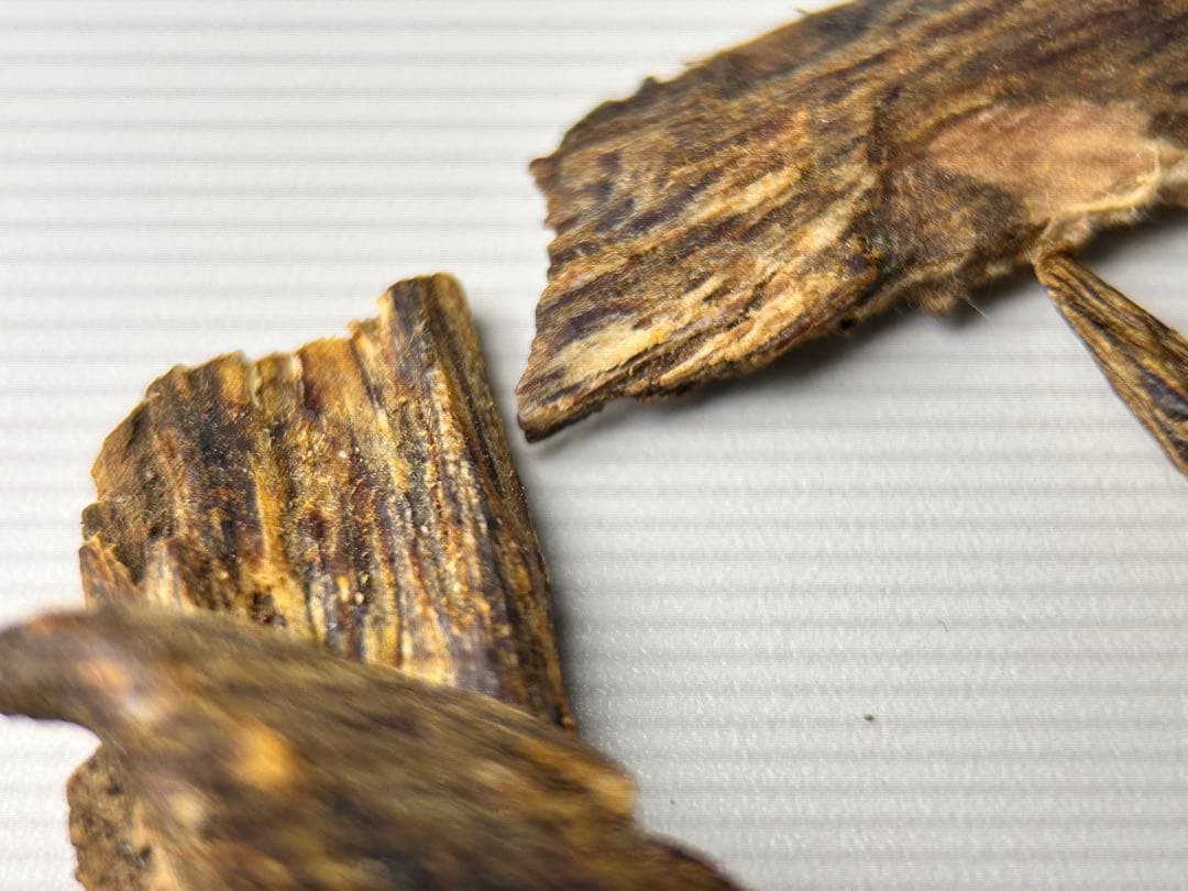 お香 天然沈香 六国五味聞香用 伽羅 香木 2-S-10.155