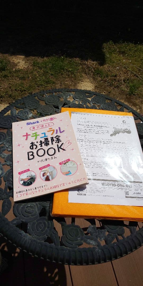 ポータブル 高温ドライスチーム