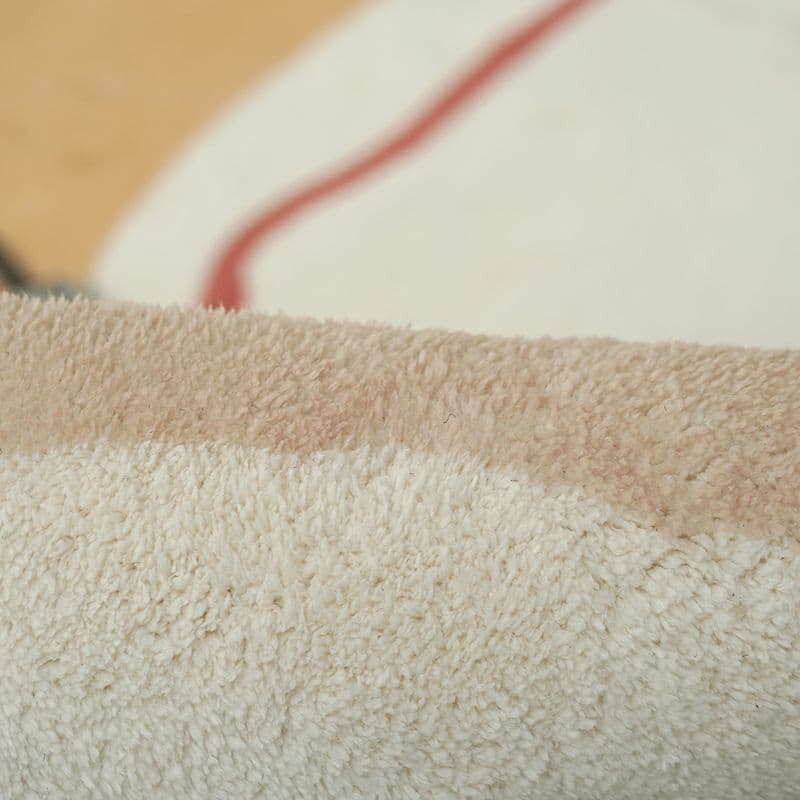 モダンなミニマリストのネットレッドカーペット北欧の厚い毛布