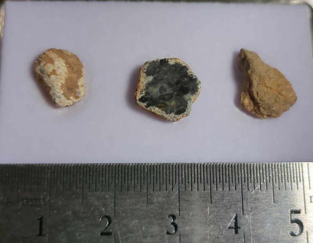 月隕石 Bechar 006