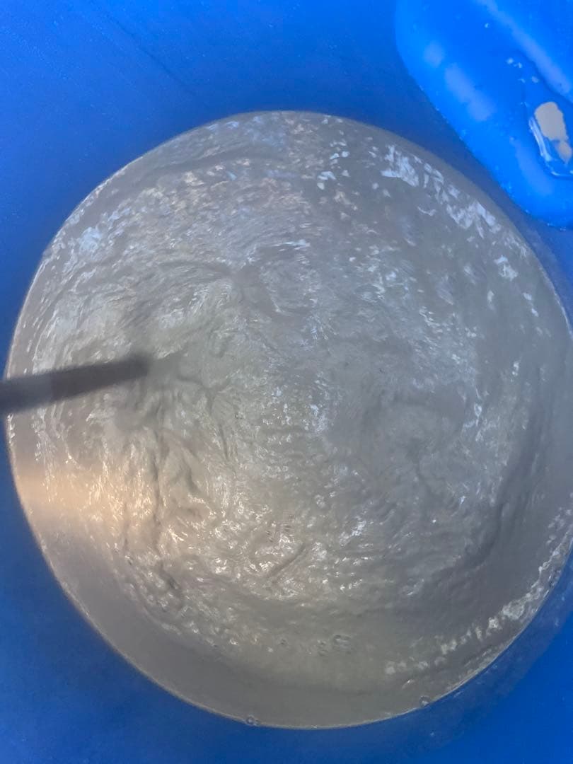 2025 正藍染　鯉のぼり　大単体　名入れあり