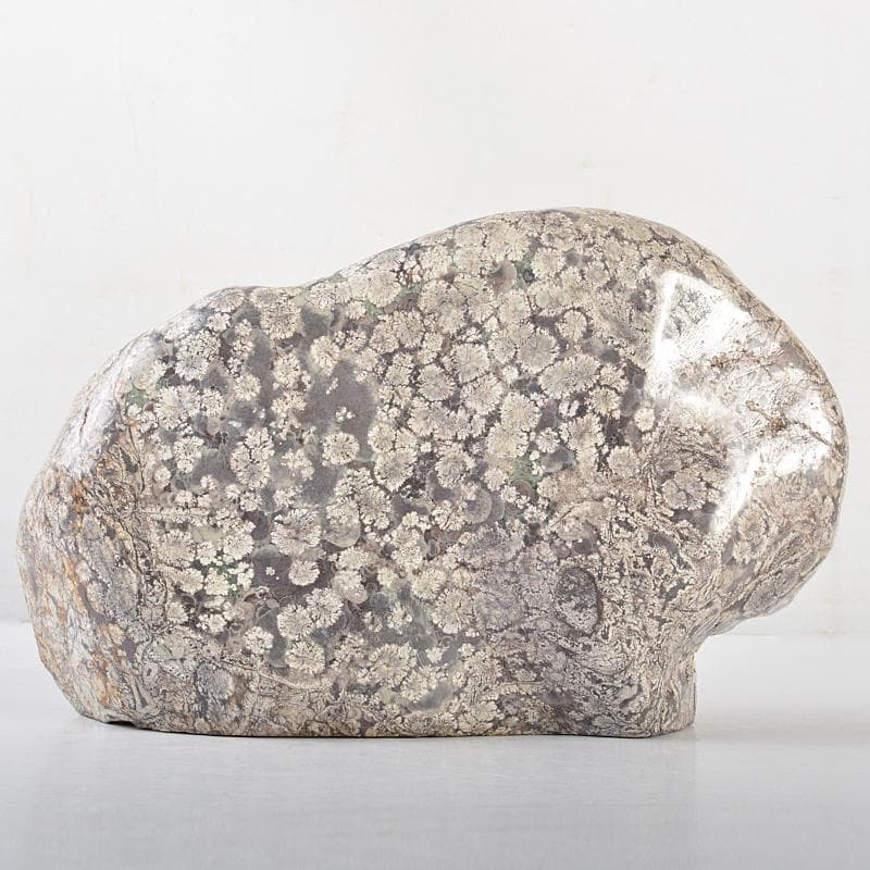 天然石 鑑賞石 梅花石 置物 重さ約4kg V R6551 - メルカリ