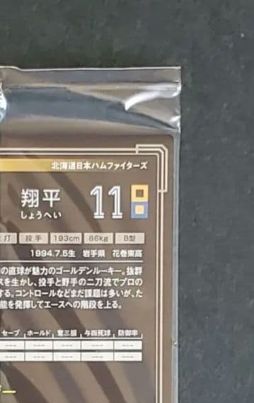 激レア未開封品】大谷翔平 2013 オーナーズリーグ インフィニティ 投手