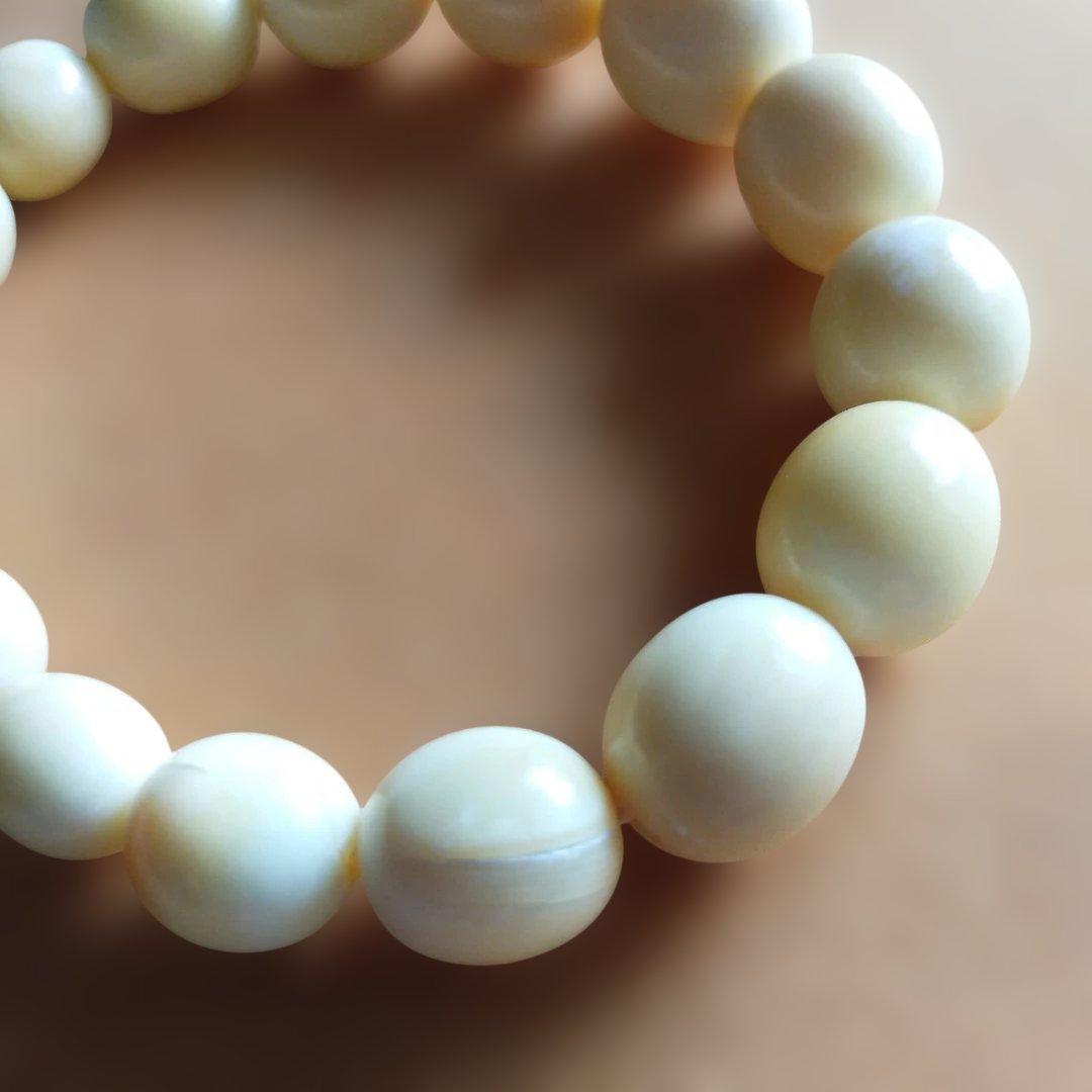 鯨歯　マッコウ鯨　牙玉ブレスレット　18㎝
