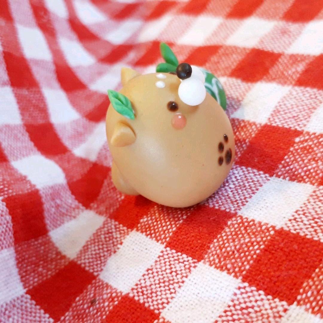 お座りコロンと柴犬♡