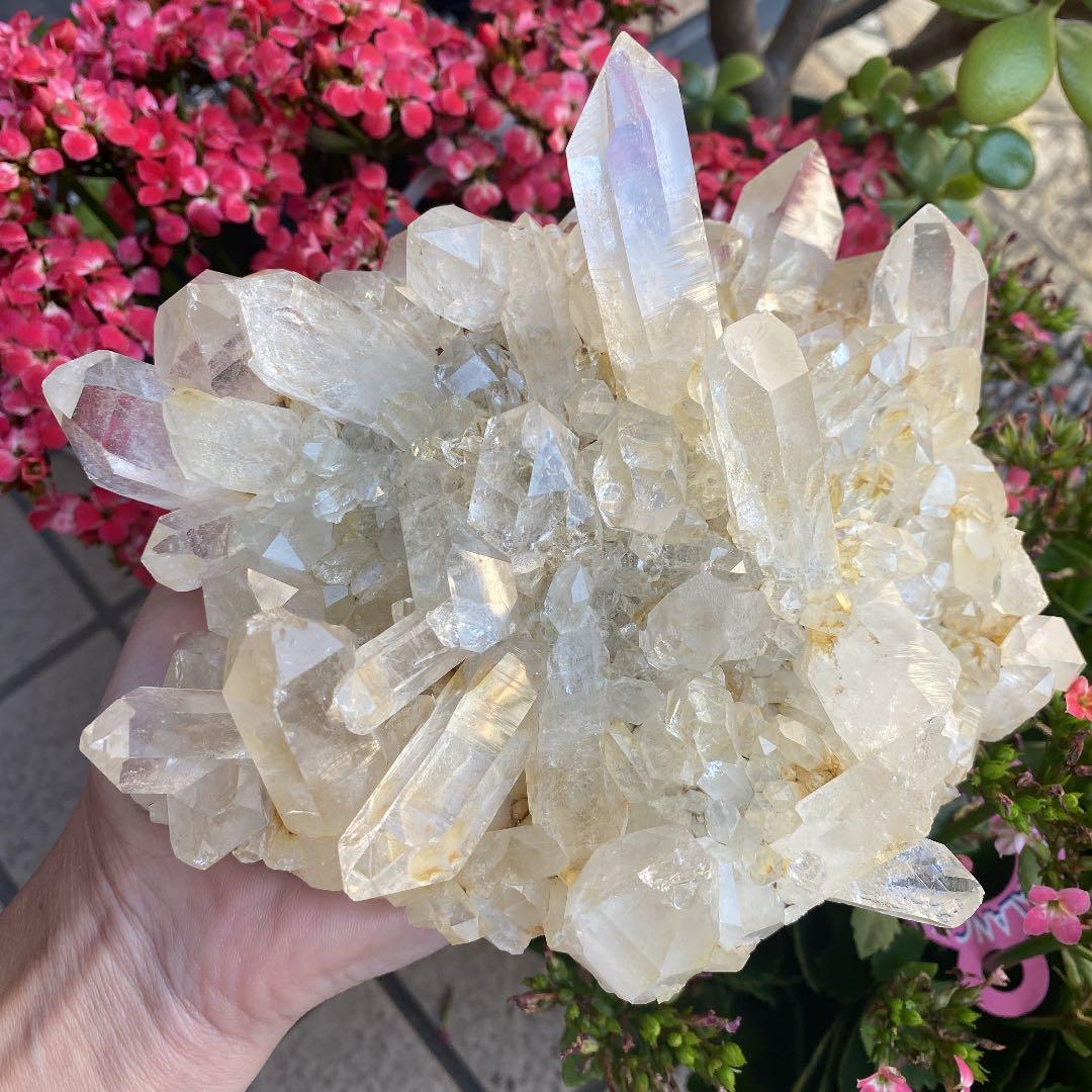 ヒマラヤ パキスタン イッシュコーマン産クラスター