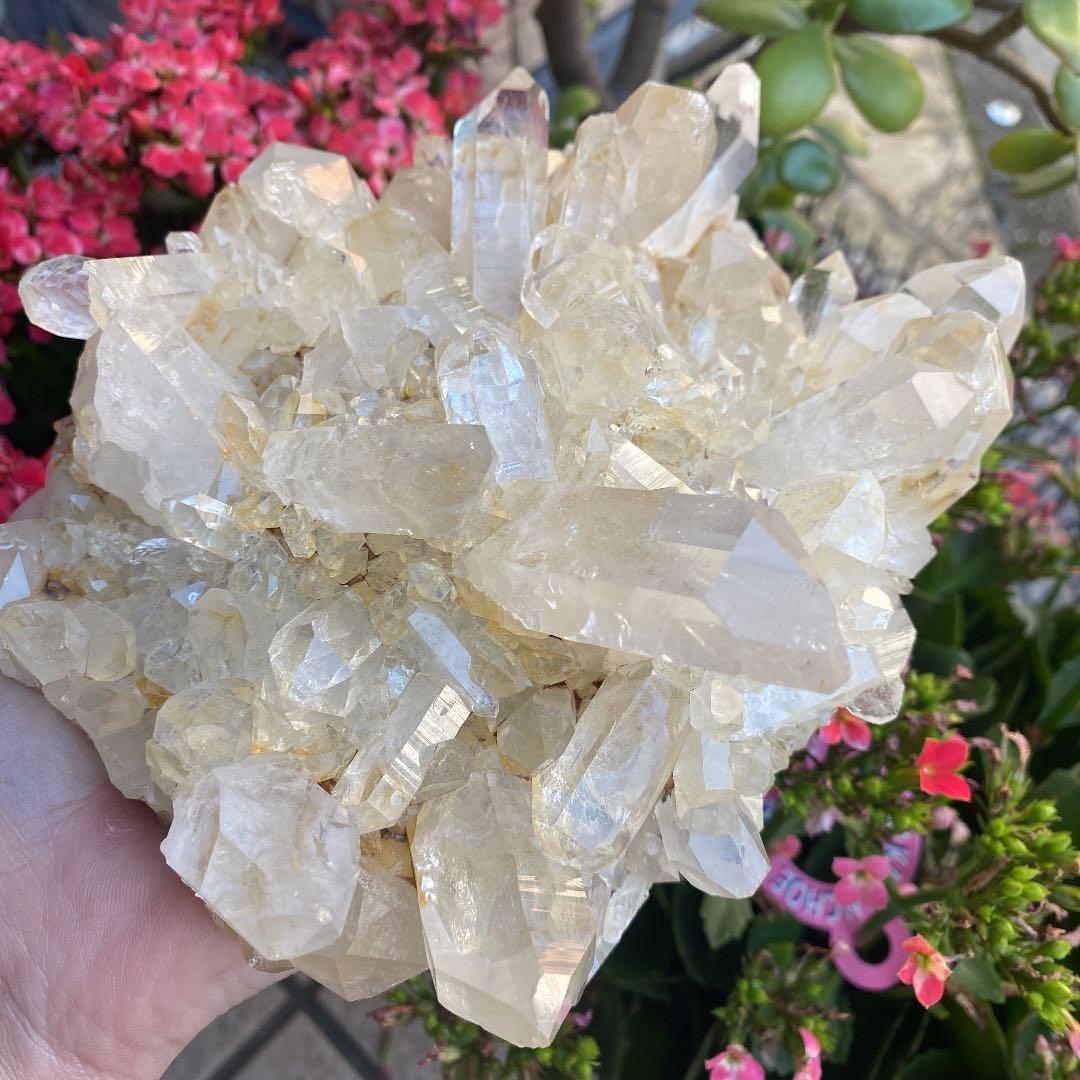 ヒマラヤ パキスタン イッシュコーマン産クラスター