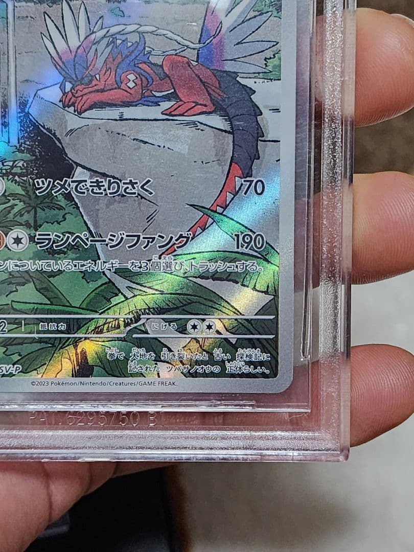 ポケモンカード コライドン プロモ 2023 BGS評価9.5= PSA評価10