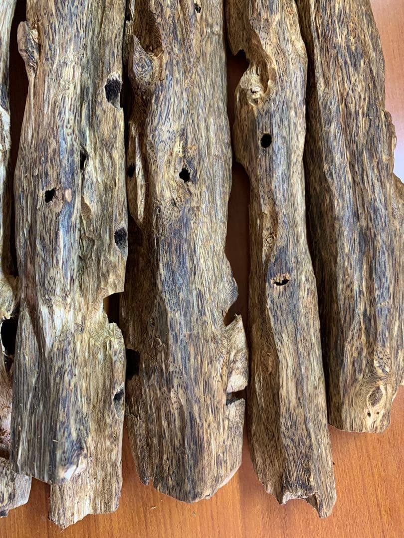 極上緑油伽羅 沈香原木 香木 重さ:1000g