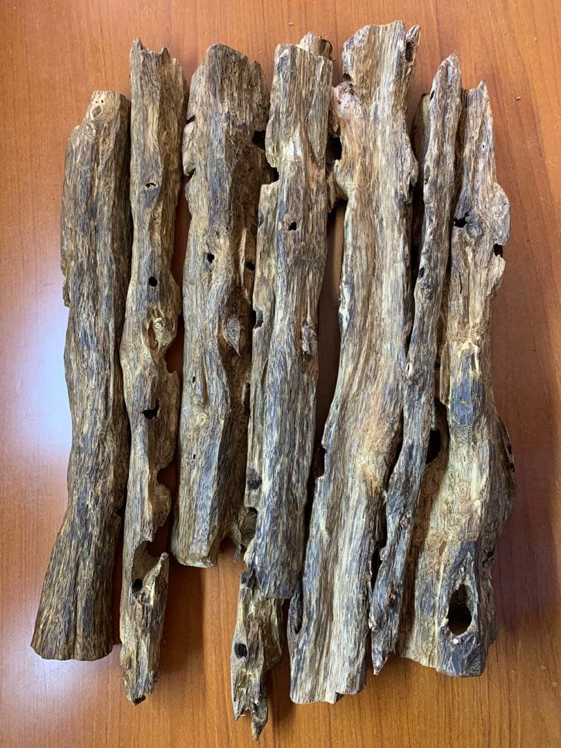 極上緑油伽羅 沈香原木 香木 重さ:1000g