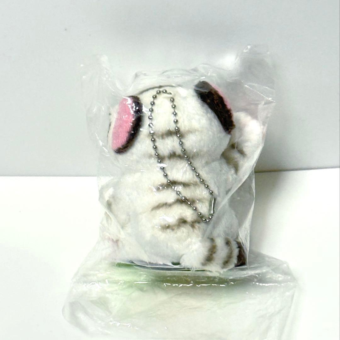 東武動物公園 ホワイトタイガー ぬいぐるみ キーホルダー - メルカリ