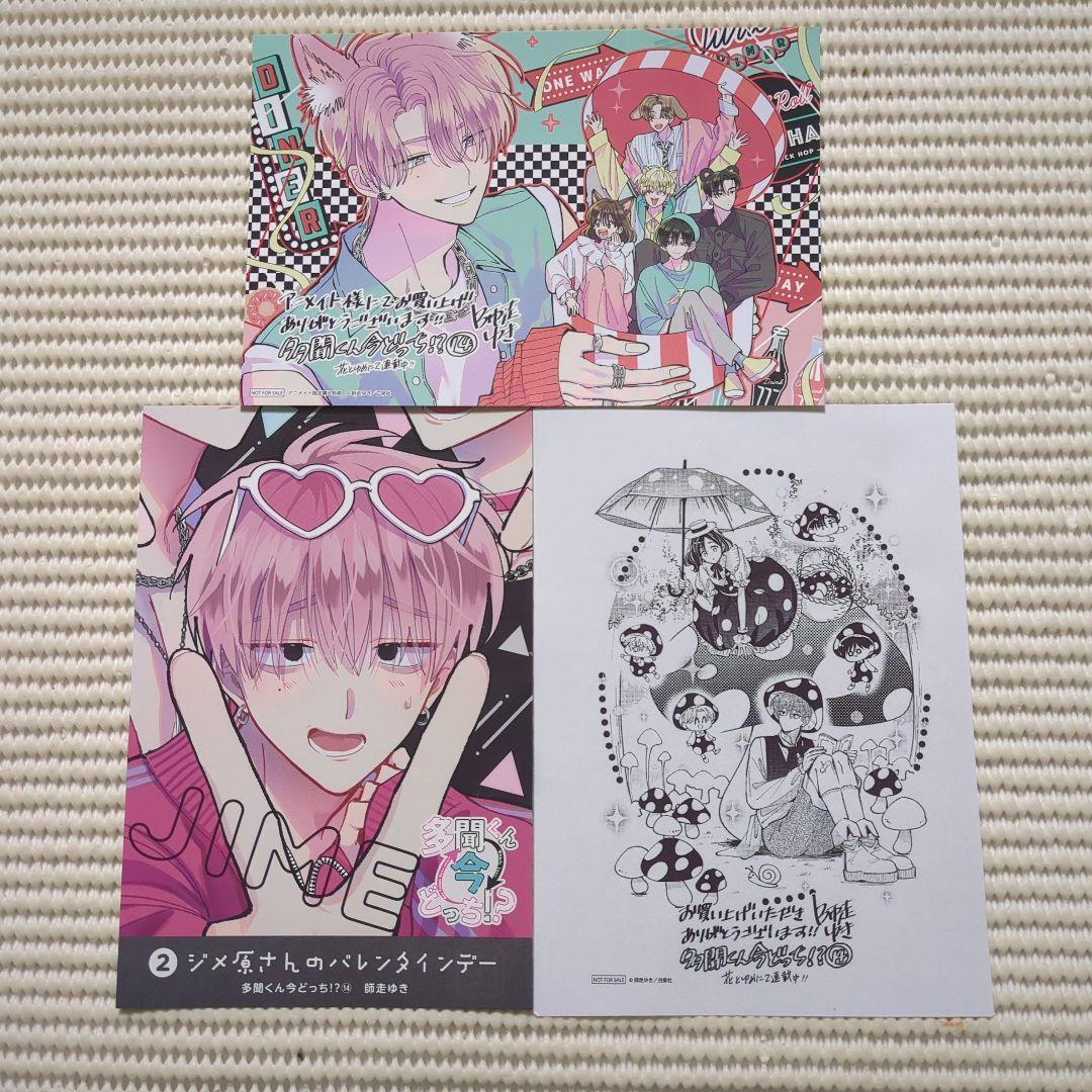 多聞くん今どっち!? 14巻 アニメイト特典 イラストカード 3枚セット