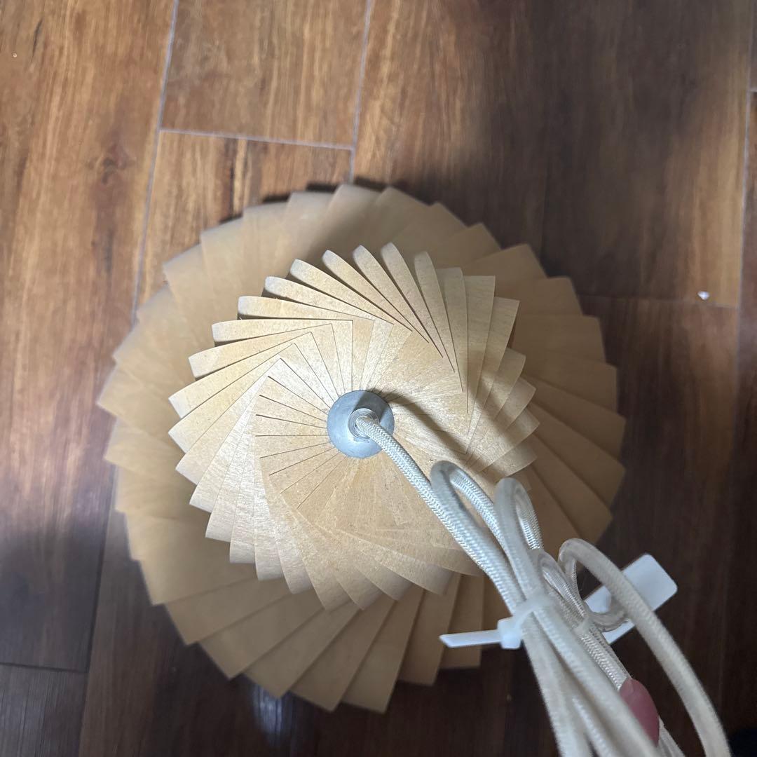 最終値下げ　 TR22ペンダントランプ ペンダントライト Tom Rossau