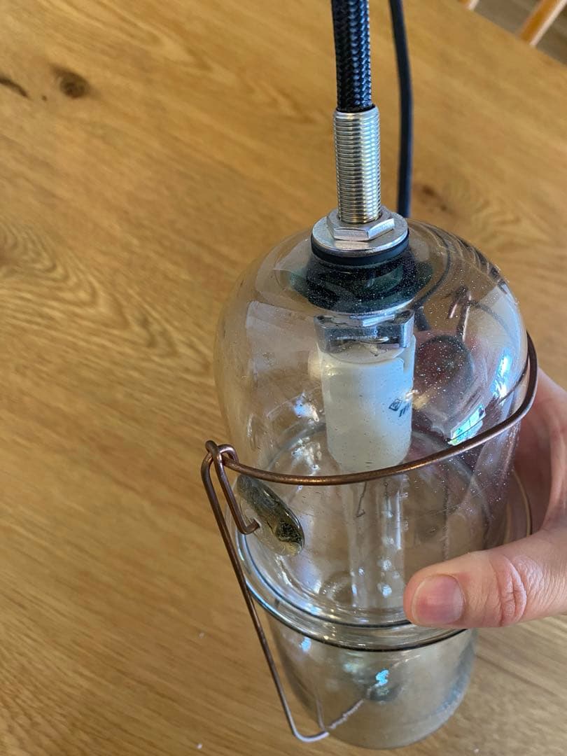 Peter Ivy ピーターアイビー 照明 Light Capsule S