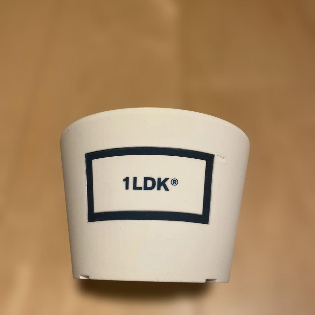 その他 1LDK PachypodiumGracilius medicom toy