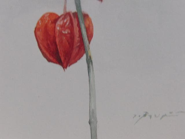 藤井勉、ほおずき、希少な画集より、新品高級額、額装付、状態良好