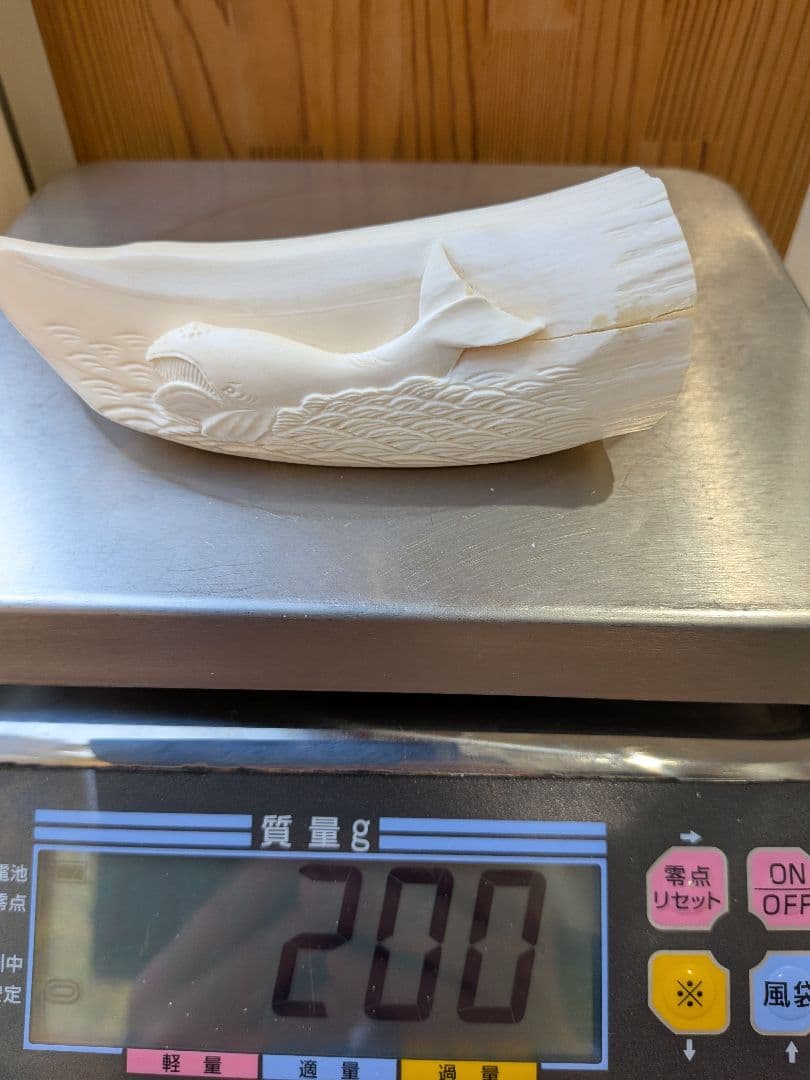 マッコウ鯨歯　本物（セミ鯨）彫刻
